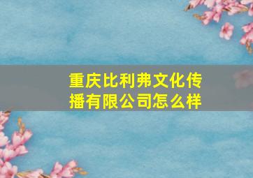 重庆比利弗文化传播有限公司怎么样