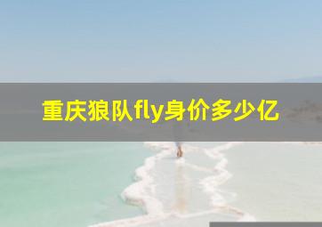 重庆狼队fly身价多少亿