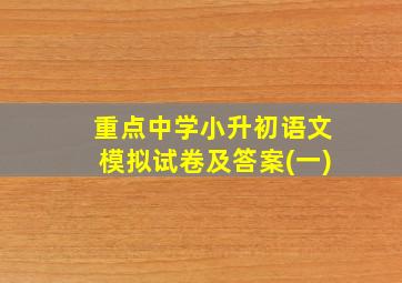 重点中学小升初语文模拟试卷及答案(一)