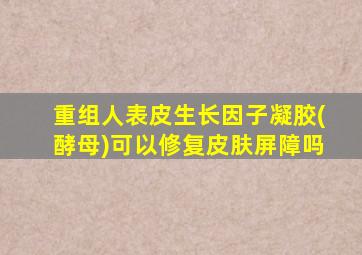 重组人表皮生长因子凝胶(酵母)可以修复皮肤屏障吗