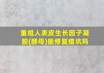 重组人表皮生长因子凝胶(酵母)能修复痘坑吗