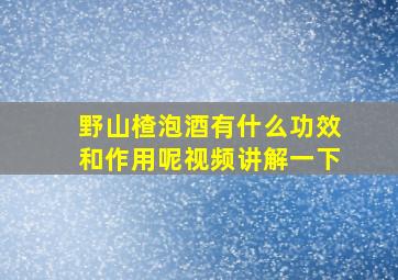 野山楂泡酒有什么功效和作用呢视频讲解一下