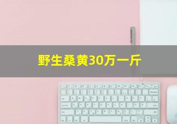 野生桑黄30万一斤