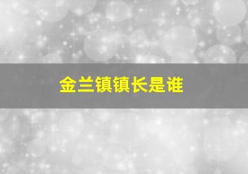 金兰镇镇长是谁