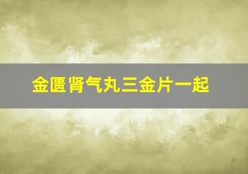 金匮肾气丸三金片一起