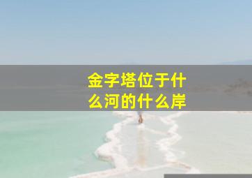 金字塔位于什么河的什么岸