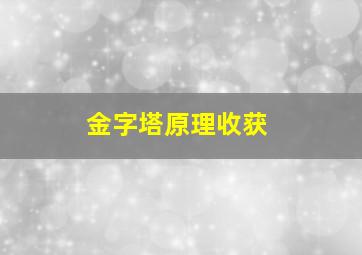 金字塔原理收获