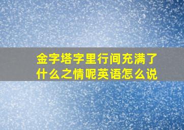 金字塔字里行间充满了什么之情呢英语怎么说