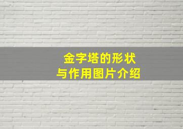 金字塔的形状与作用图片介绍