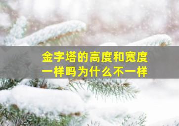 金字塔的高度和宽度一样吗为什么不一样