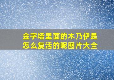 金字塔里面的木乃伊是怎么复活的呢图片大全