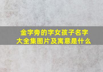 金字旁的字女孩子名字大全集图片及寓意是什么