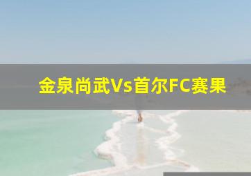 金泉尚武Vs首尔FC赛果