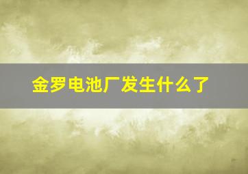 金罗电池厂发生什么了