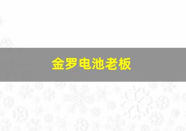 金罗电池老板