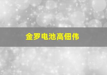 金罗电池高佃伟