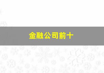 金融公司前十