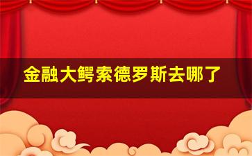 金融大鳄索德罗斯去哪了