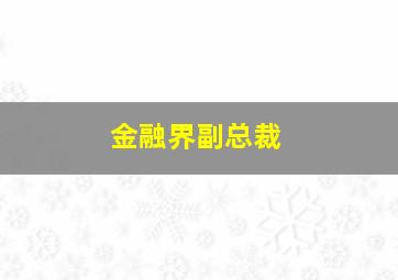 金融界副总裁