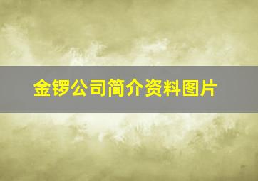 金锣公司简介资料图片