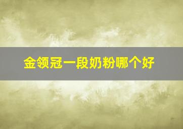 金领冠一段奶粉哪个好