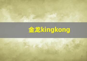 金龙kingkong