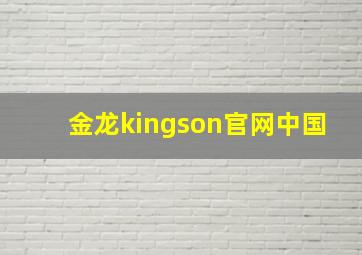 金龙kingson官网中国