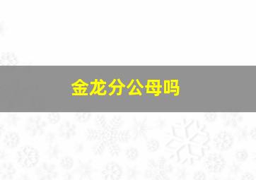 金龙分公母吗