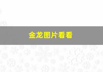 金龙图片看看