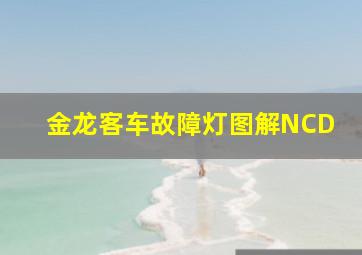 金龙客车故障灯图解NCD