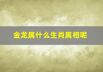 金龙属什么生肖属相呢