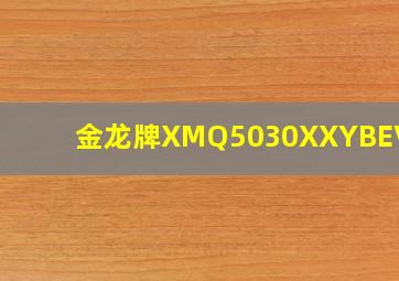 金龙牌XMQ5030XXYBEVL06