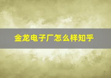 金龙电子厂怎么样知乎