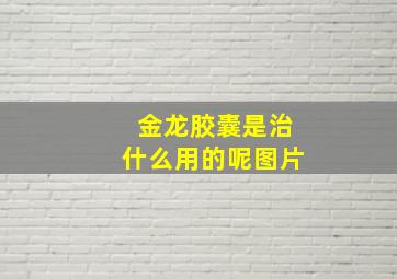 金龙胶囊是治什么用的呢图片