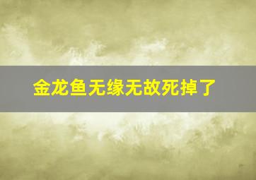 金龙鱼无缘无故死掉了