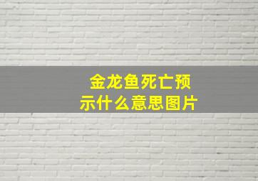 金龙鱼死亡预示什么意思图片