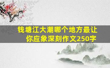 钱塘江大潮哪个地方最让你应象深刻作文250字