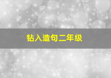 钻入造句二年级