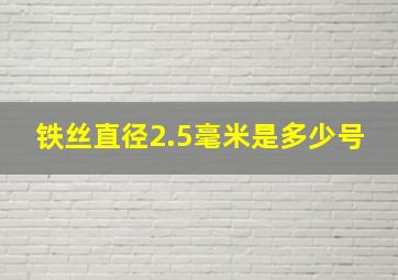 铁丝直径2.5毫米是多少号