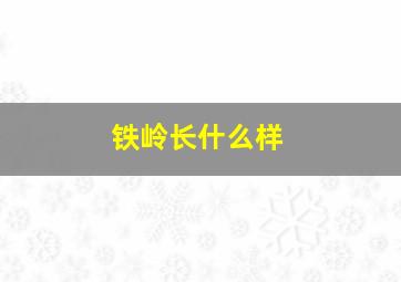 铁岭长什么样