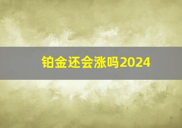 铂金还会涨吗2024