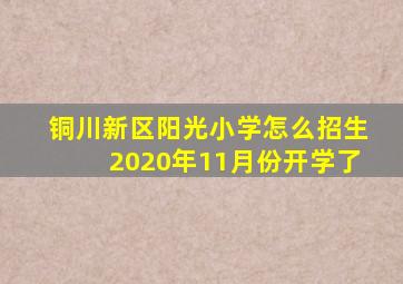 铜川新区阳光小学怎么招生2020年11月份开学了