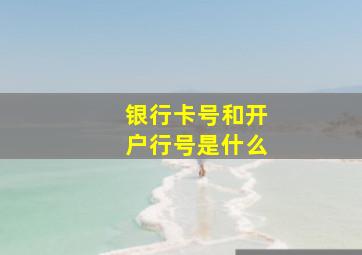 银行卡号和开户行号是什么