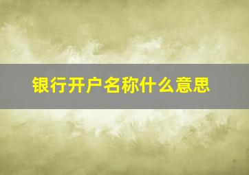 银行开户名称什么意思