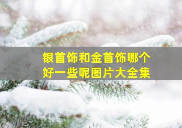 银首饰和金首饰哪个好一些呢图片大全集