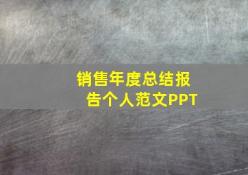 销售年度总结报告个人范文PPT