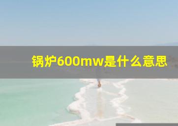 锅炉600mw是什么意思