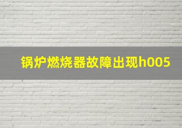 锅炉燃烧器故障出现h005