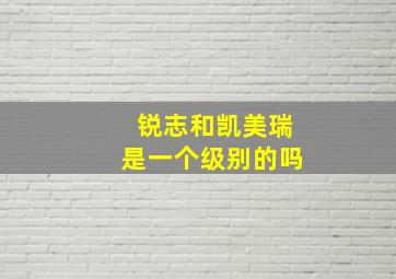 锐志和凯美瑞是一个级别的吗