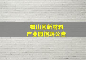 锡山区新材料产业园招聘公告